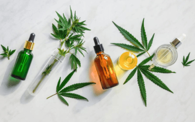 The Buzziest CBD Products to Boost your Wellness