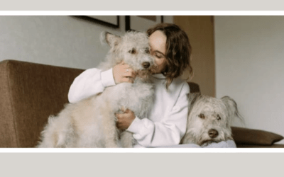 Pawfect Hair: Matching Extensions to Your Pet’s Fur