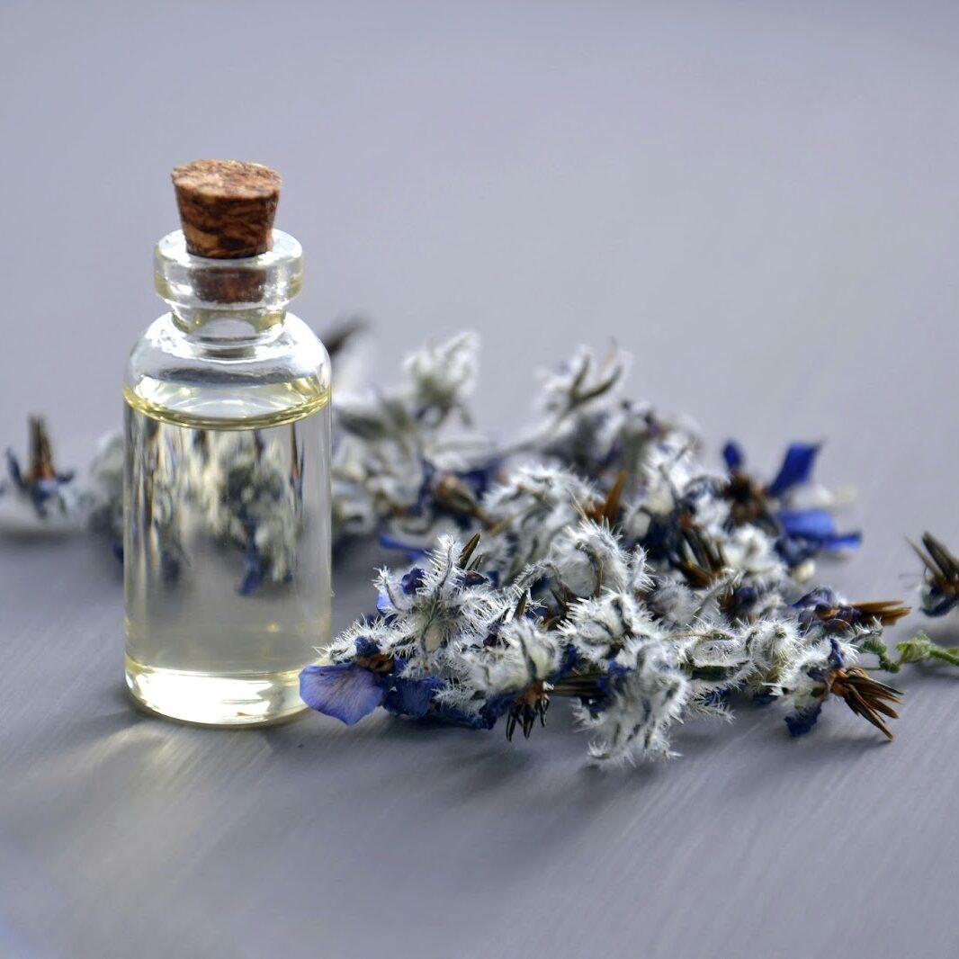 fragrance notes 